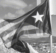 Tot sobre la bandera estelada